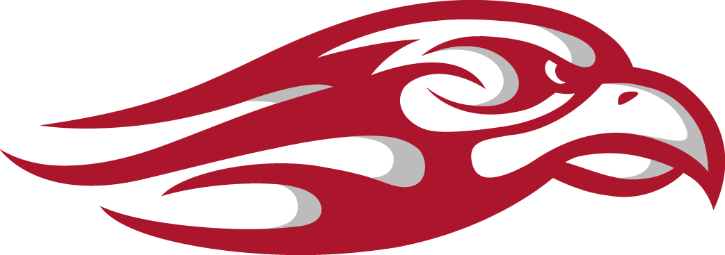 Liberty Flames 2013-Pres Secondary Logo 02 iron on paper